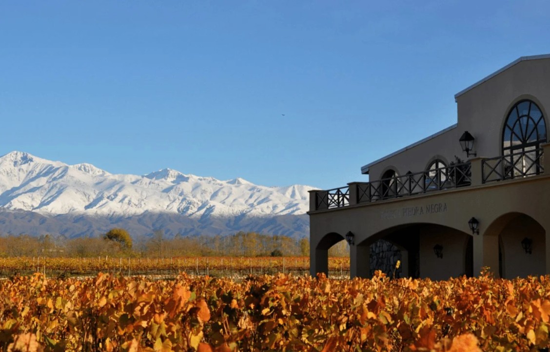 Expresión de altura